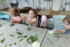 IMG_20230607_100032