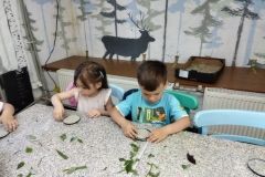 IMG_20230607_100059