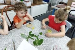 IMG_20230607_101150