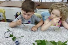 IMG_20230607_101154