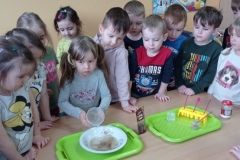 IMG_20230306_131020