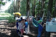 IMG_20230531_120421