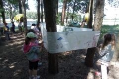 IMG_20230531_120629