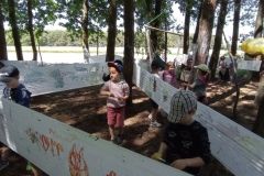 IMG_20230531_120741