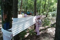 IMG_20230531_120805
