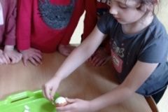 IMG_20230406_132234