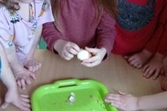 IMG_20230406_132240