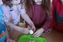 IMG_20230406_132249