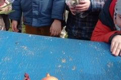 IMG_20230320_120228