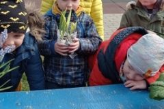 IMG_20230320_120307