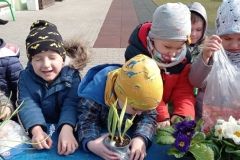 IMG_20230320_120458
