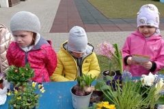 IMG_20230320_121755
