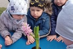 IMG_20230320_122458