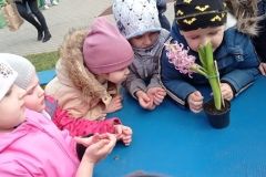 IMG_20230320_122511