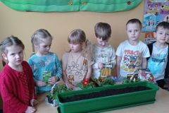 IMG_20230321_092811