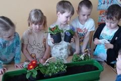 IMG_20230321_092943