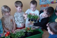 IMG_20230321_093006