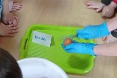 IMG_20230406_131922
