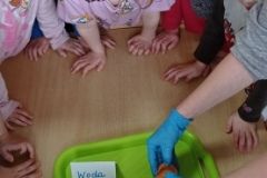 IMG_20230406_131928