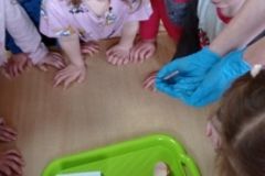 IMG_20230406_131930
