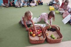 9b4d17db-b17f-42a7-8233-c34efe1d730a