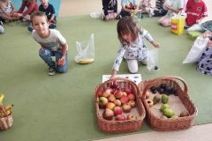 c729624c-8cc9-4ec9-b25a-cefdd144d0cf