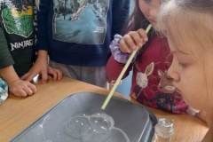 324780898_1309319436591064_8100930120156008116_n