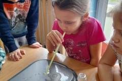 325603271_3714662212094100_4830551412653985457_n