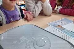 326029592_1880032495695250_4418329901219600883_n