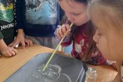 326560986_588038269401311_1227387407724783140_n