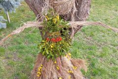 IMG_20250318_122556