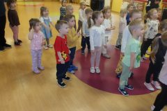 KODAK Digital Still Camera