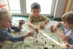 4f774472-15a2-470f-a285-964e5e3bd61c