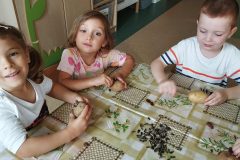 904c7255-736e-42d8-b01f-dd56b5d70173