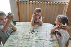 dbb3f795-e179-4b6a-b477-c499ee51d9a6