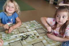 ec1c0f8c-5099-4a2e-858e-0885f8e73331