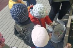 IMG_20230413_120704