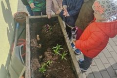 IMG_20230413_120743