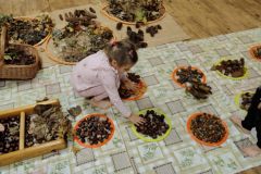 1f2ef2b0-dd0e-4bbb-9323-3dda64246964