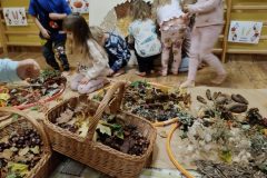 1f732249-2ad3-4d8a-9408-dd5639997257