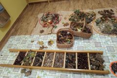 3f98997f-5e0c-43a1-bad1-0ff9e11a55ab