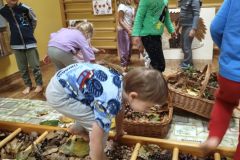 664750a3-d3b1-4009-82c1-e36fd58cf131