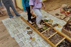 692f8a96-b5f2-4cba-9dd9-903601c4fae4