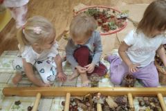 6b543be8-82c4-4b4b-893b-8672914ab76a