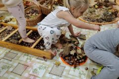 6e188044-ae58-483d-9bd5-0a2f00b8ae2b