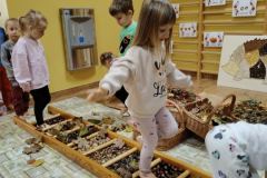 87a8a57c-b10a-40b4-a559-60c2aa0b5c58