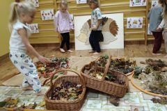 9a639d22-8a06-4d64-955c-d54922a43df9