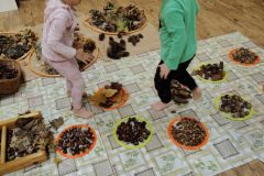 d4200edf-a35d-424c-9756-a2593c46d7aa