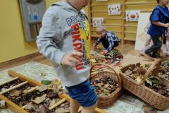 d8a0494d-6805-4897-b9e6-9295f43ee96e