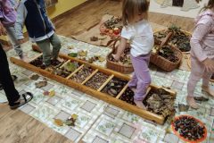 e2a93ce5-c378-431e-8760-1ec9a800fc6c